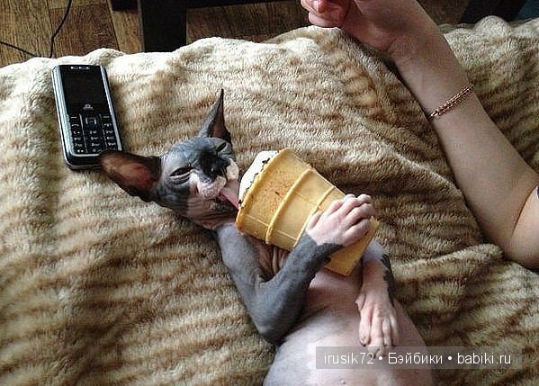 "Поделись улыбкою своей" часть 5