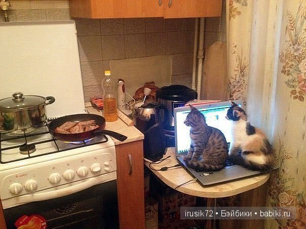 "Поделись улыбкою своей" часть 5