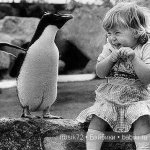 "Поделись улыбкою своей" часть 5