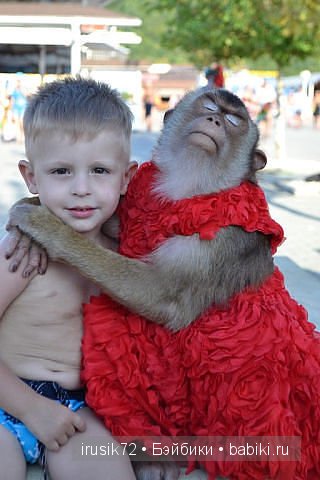 Красавица Нарае — Куклы Bimong (Бимонг): Narae (Нарае)