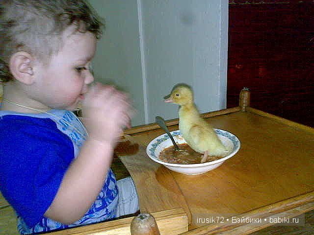 Фрау Жужа... и немного СМЕХА! Кукла Zwergnase (фото 10)