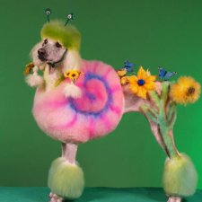 Игрушечная собачка... или собачьи парикмахеры "жгут" )))