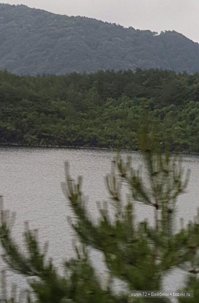 Моя Япония часть 2 — Туризм и путешествия: фотоотчеты из поездок (фото 6)