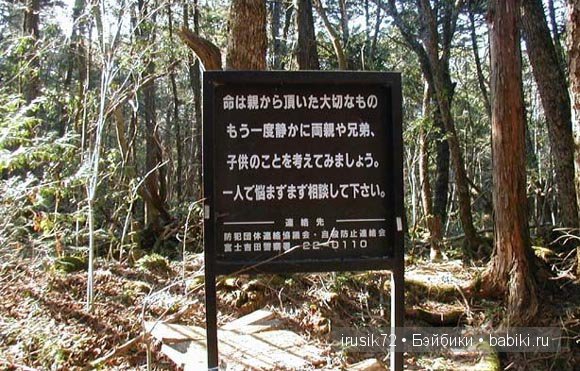 Моя Япония часть 2 — Туризм и путешествия: фотоотчеты из поездок (фото 3)