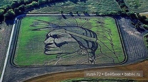 Рисунки на полях — Интересное и необычное: фотоподборки (фото 8)