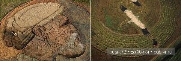 Рисунки на полях — Интересное и необычное: фотоподборки (фото 9)