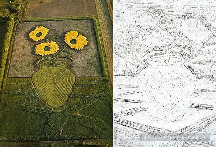 Рисунки на полях — Интересное и необычное: фотоподборки (фото 7)