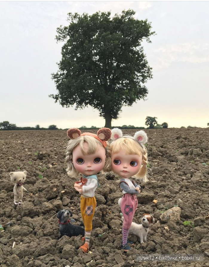 Фантастические фото | Бэйбики Фантастические фото — Куклы Blythe (Блайз) ООАК: кастом
