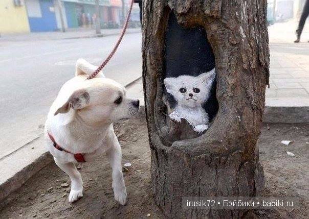Необычный холст для художницы (фото 2)