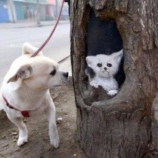 Необычный холст для художницы