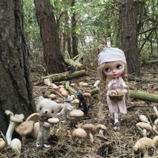 Фантастические фото или  Dollytreasures жжет