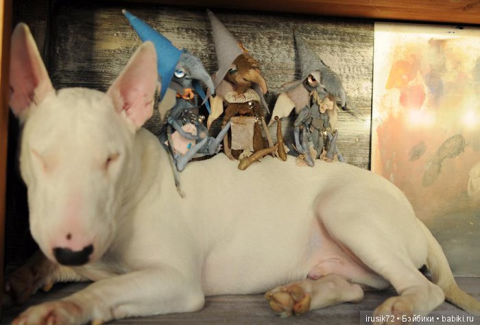 Потрясающие зверики от Юлии Берг (фото 10)