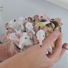 Потрясающие зверики от Юлии Берг