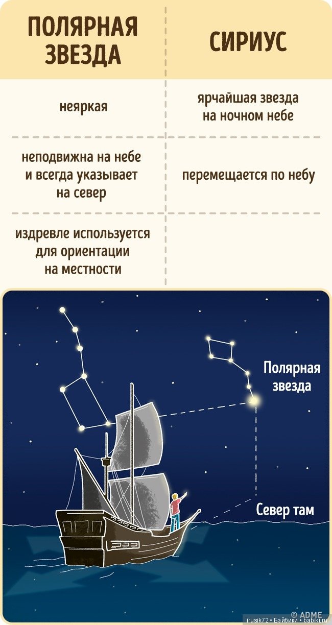 Научно-познавательное — Интересное и необычное: фотоподборки (фото 5)