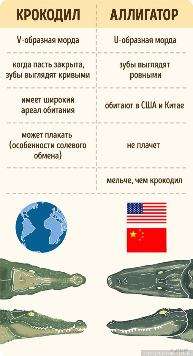 Научно-познавательное — Интересное и необычное: фотоподборки (фото 3)