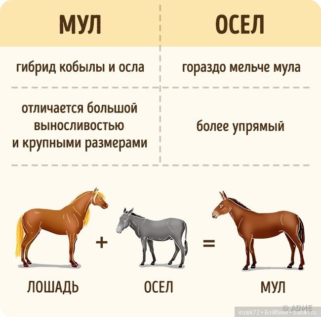 Научно-познавательное — Интересное и необычное: фотоподборки (фото 2)