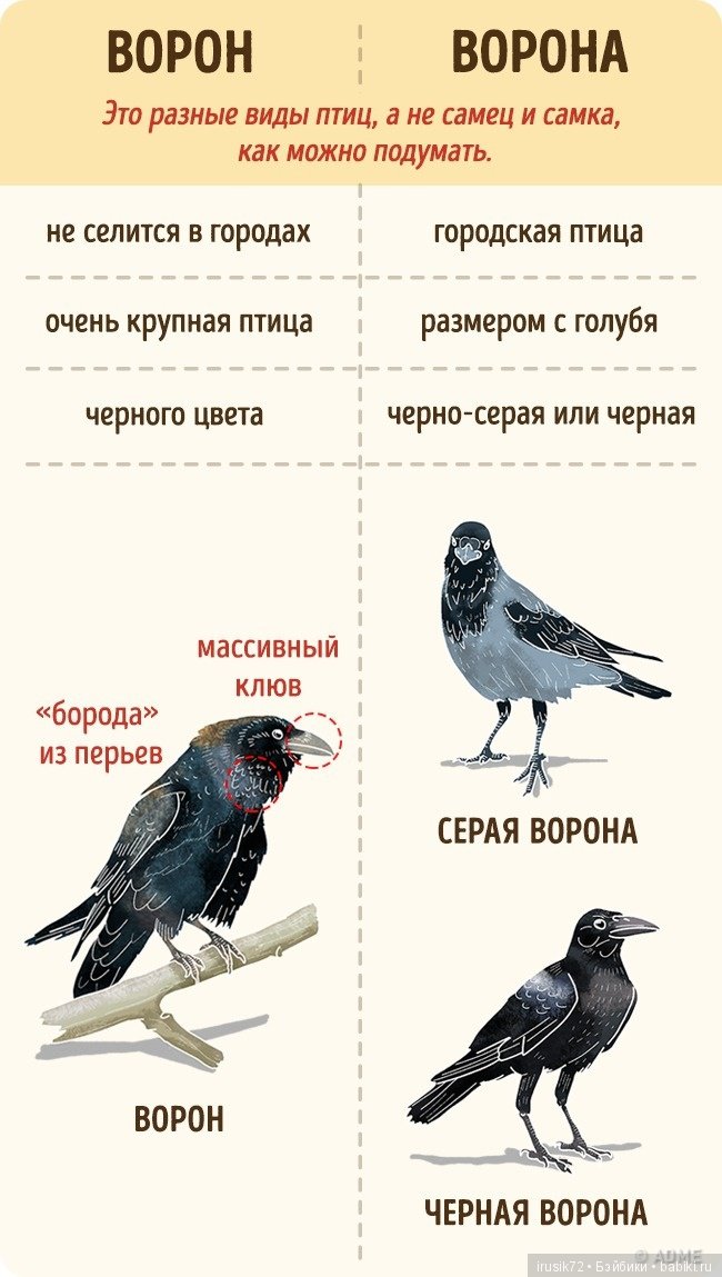Научно-познавательное — Интересное и необычное: фотоподборки