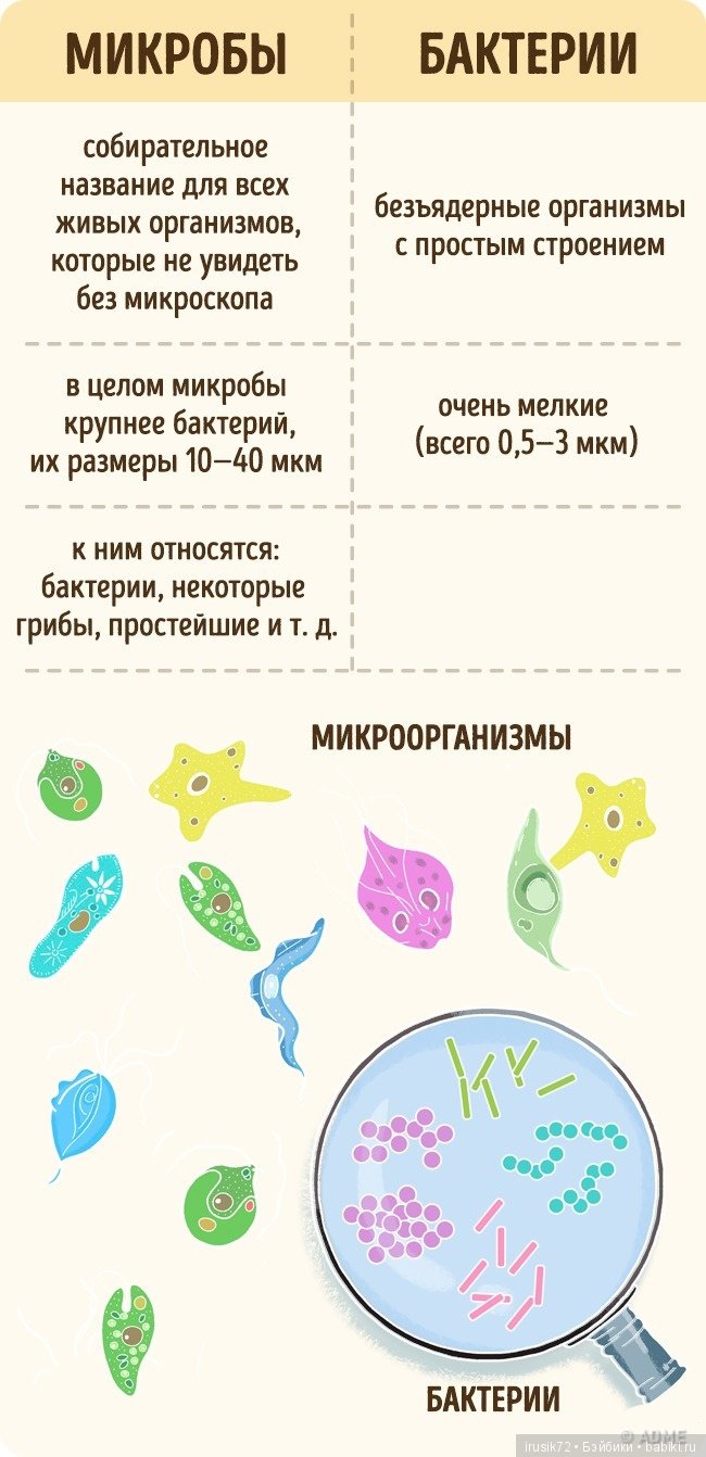 Научно-познавательное — Интересное и необычное: фотоподборки (фото 10)