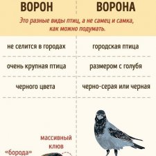 Научно-познавательное