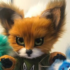 Еще 78 фото с ИК 2017