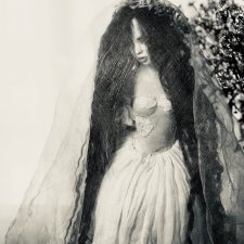 Привидение замка Борхов