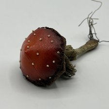 гриб от Мандрагоры mandragora_root