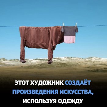 Просто белье на веревке