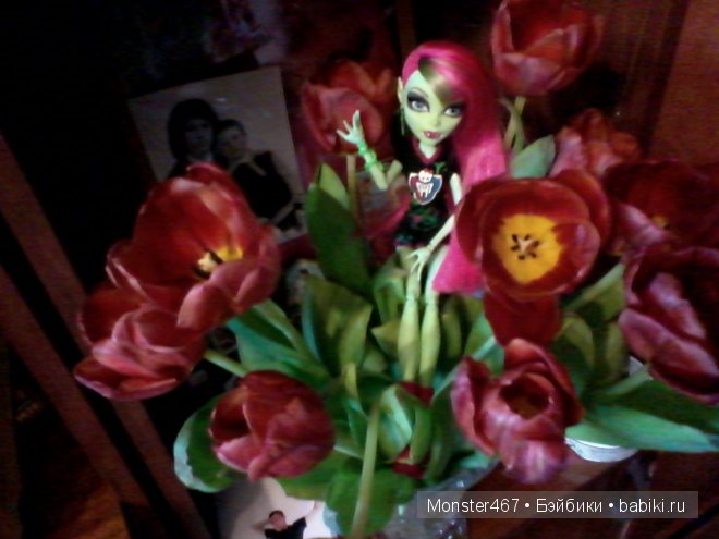 Моя Венерочка новиночка!! Кукла Монстер Хай (фото 4)