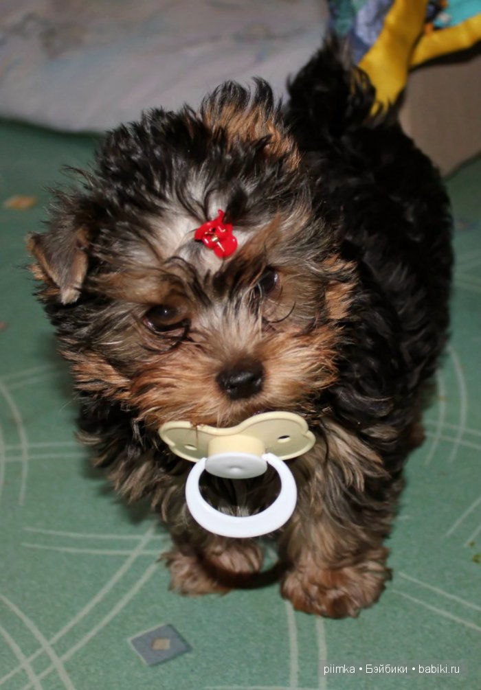 Вторая жизнь Бяши — Винтажные куклы ГДР (Немки): Бигги