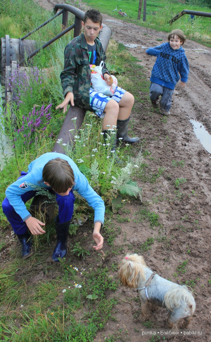 Где то далеко — Куклы 5stardoll (5стар): китайские BJD