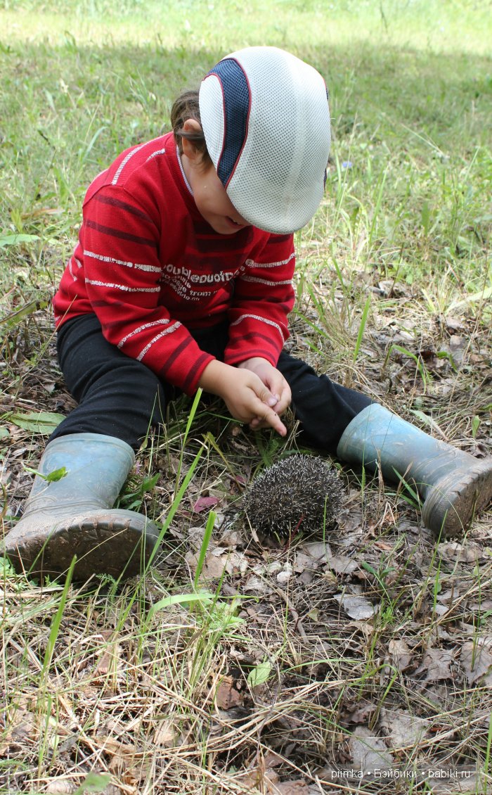 Где то далеко — Куклы 5stardoll (5стар): китайские BJD