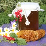 Всё могут короли!