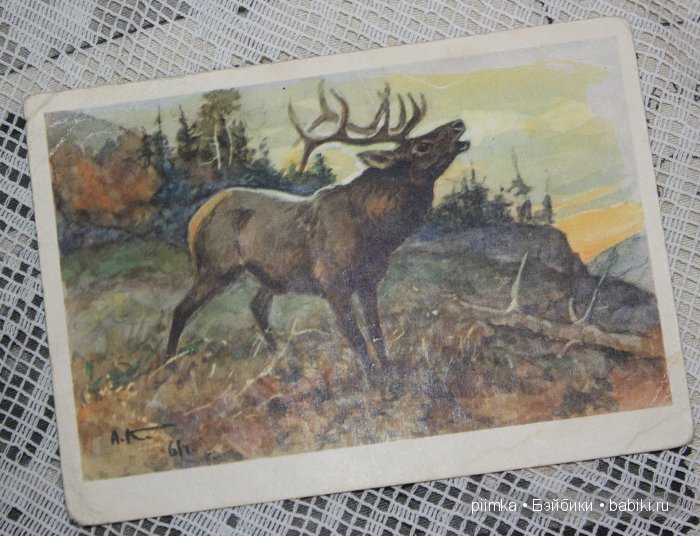 Старые открытки — Болталка и разговоры обо всем: жизнь