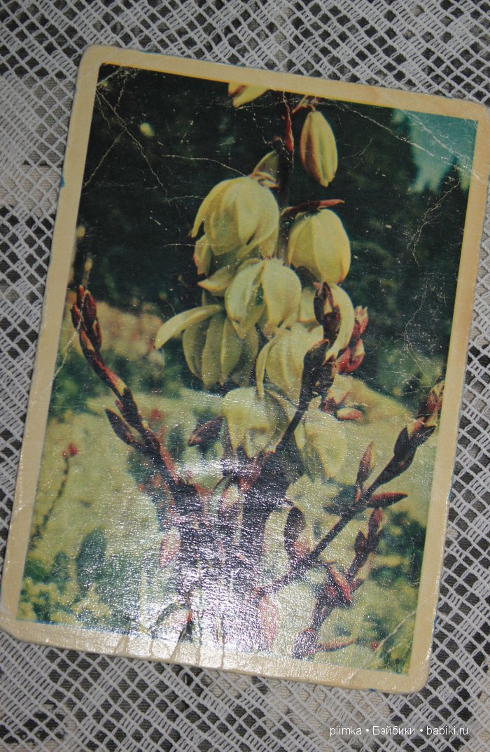 Старые открытки — Болталка и разговоры обо всем: жизнь (фото 10)