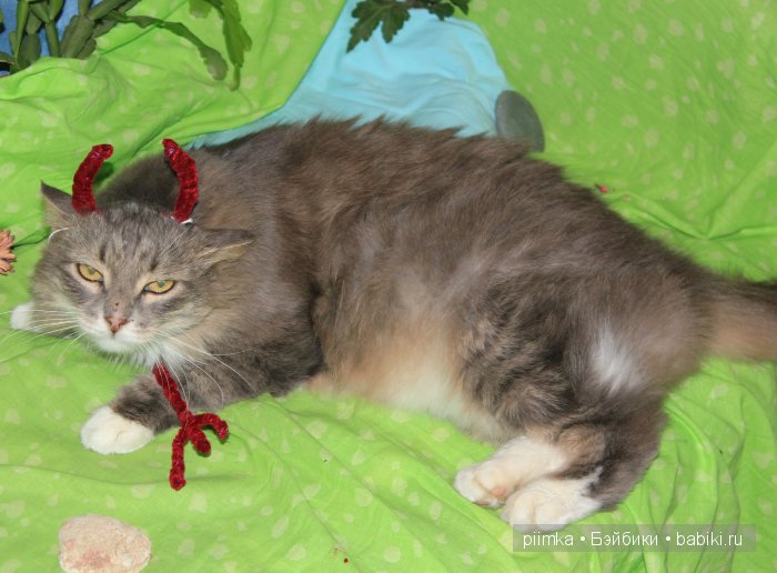 Моя попытка принять участие в конкурсе, не состоявшаяся