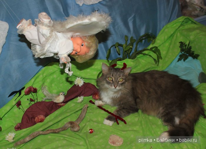 Моя попытка принять участие в конкурсе, не состоявшаяся