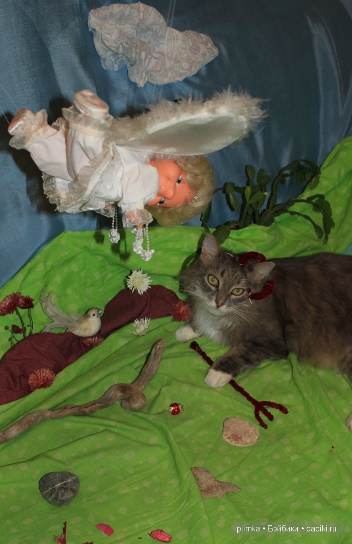 Моя попытка принять участие в конкурсе, не состоявшаяся (фото 6)