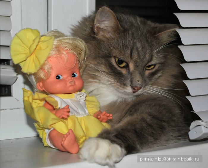 Моя попытка принять участие в конкурсе, не состоявшаяся