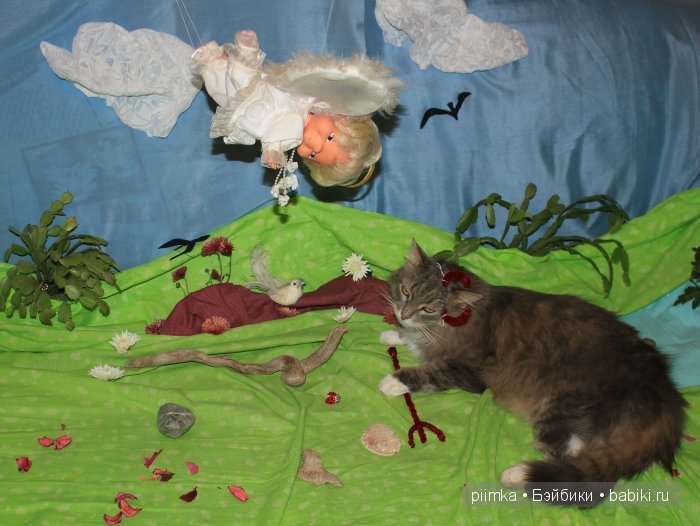 Моя попытка принять участие в конкурсе, не состоявшаяся (фото 8)