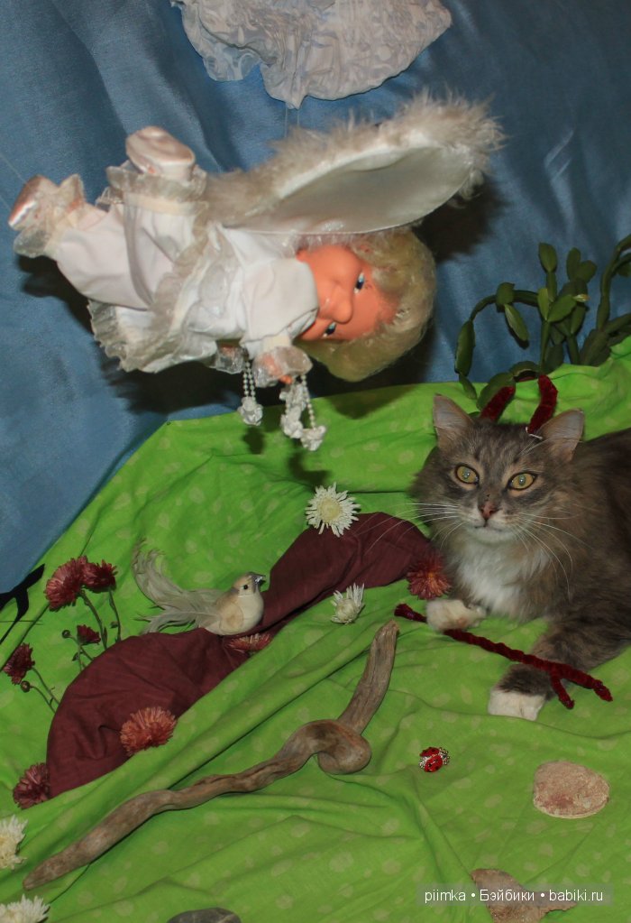 Моя попытка принять участие в конкурсе, не состоявшаяся (фото 9)