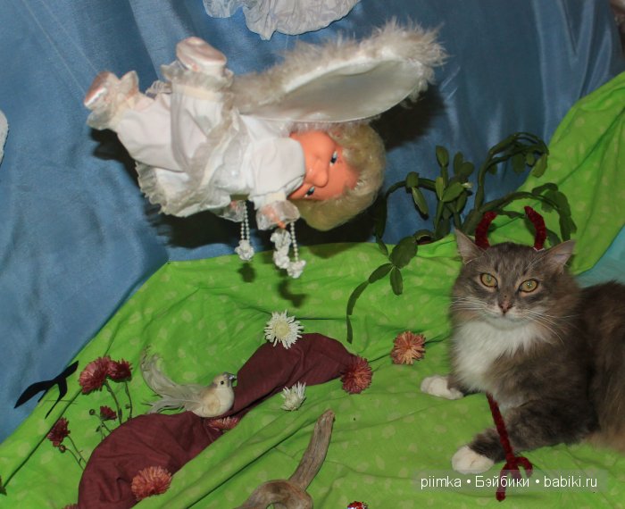 Моя попытка принять участие в конкурсе, не состоявшаяся