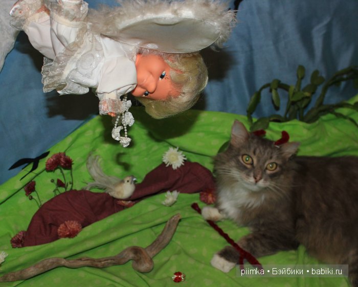 Моя попытка принять участие в конкурсе, не состоявшаяся