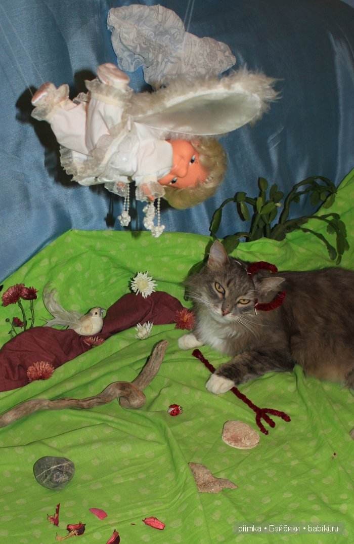 Моя попытка принять участие в конкурсе, не состоявшаяся (фото 7)