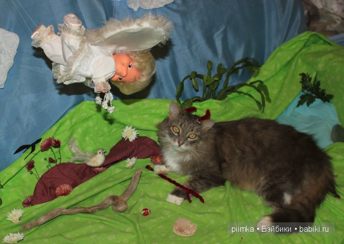 Моя попытка принять участие в конкурсе, не состоявшаяся (фото 10)