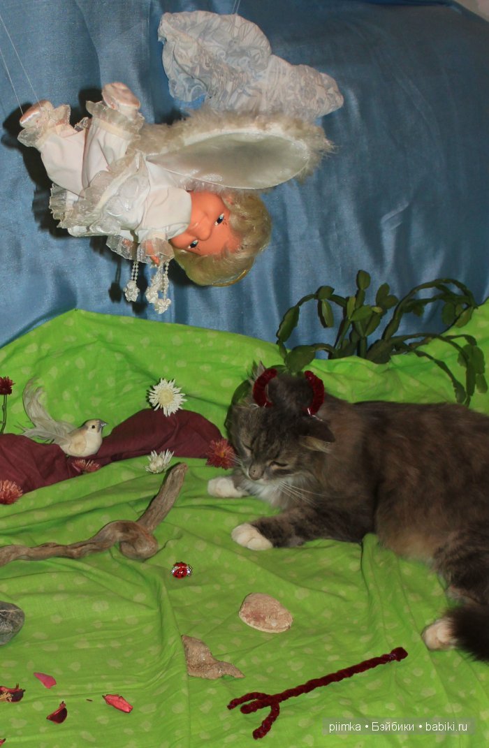 Моя попытка принять участие в конкурсе, не состоявшаяся (фото 5)