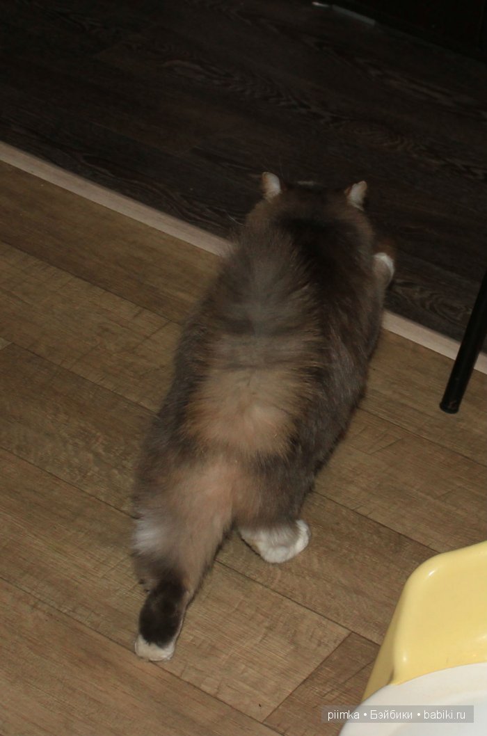 Моя попытка принять участие в конкурсе, не состоявшаяся