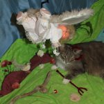 Моя попытка принять участие в конкурсе, не состоявшаяся