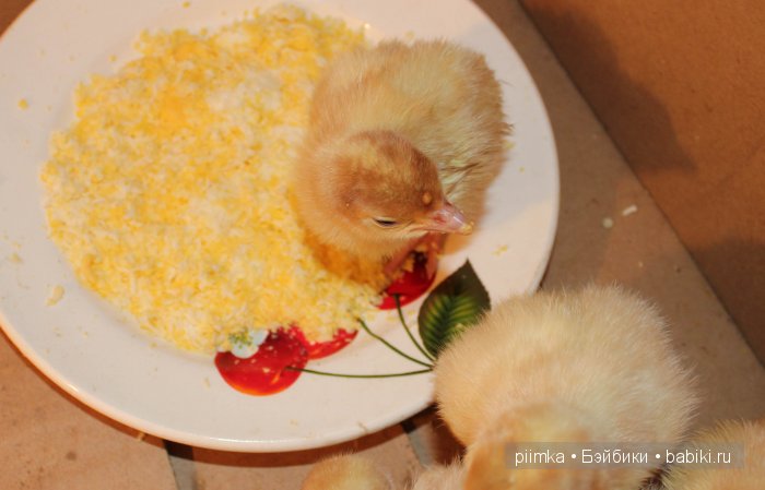 Однажды летом | Бэйбики Однажды летом — Болталка и разговоры обо всем: жизнь