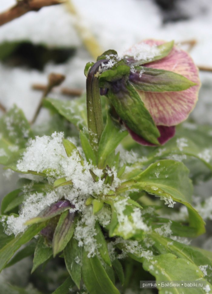 Навеяно осенними праздниками