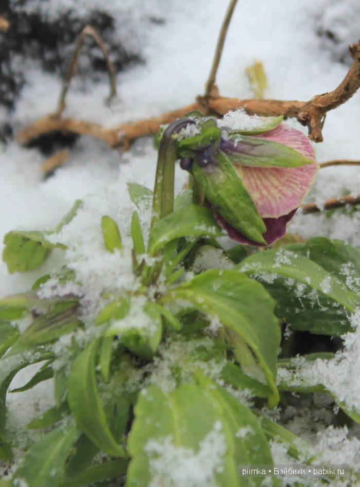 Навеяно осенними праздниками